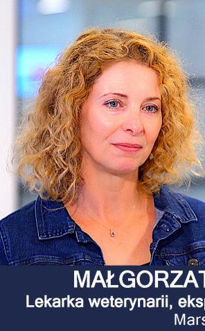 [VIDEO] Zaspokajanie potrzeb behawioralnych kota pomaga w budowaniu z nim pozytywnych relacji. Kluczem jest poznanie jego typu osobowości