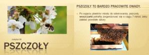 Pszczoły i ich tajemnice