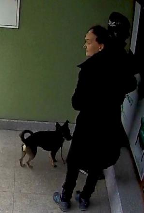 Kradzież z bankomatu metodą Na Pieska