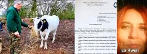 [VIDEO] 423 000 zł od Skarbu Państwa domaga się rolnik Grzegorz Piotrowski spod Gorzowa Wlkp. Za finansowy chaos, do którego doprowadziła wobec niego i 200 sztuk bydła Izabela Kwiatkowska, szefowa Biura Ochrony Zwierząt z Zielonej Góry!