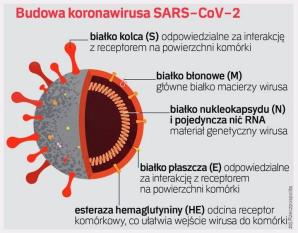 [VIDEO] Dr hab. Piotr Płoszajski: Wirus nie spowodował kryzysu, tylko ujawnił problemy systemu. Potrzebujemy technologii, żeby go rozwiązać