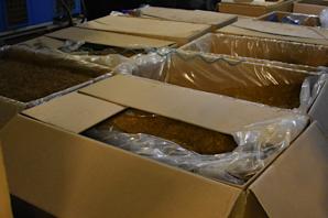 [VIDEO] Zlikwidowana fabryka papierosów w Niemczech. Produkcja miała zostać przemycona do Wielkiej Brytanii