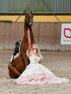 [VIDEO] Rutkowski: 5 000 złotych nagrody dla osoby, która wskaże zabójcę słynnego konia Egista!