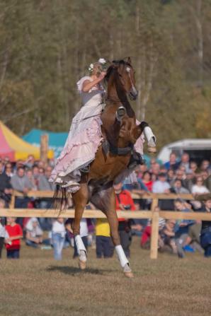[VIDEO] Rutkowski: 5 000 złotych nagrody dla osoby, która wskaże zabójcę słynnego konia Egista!
