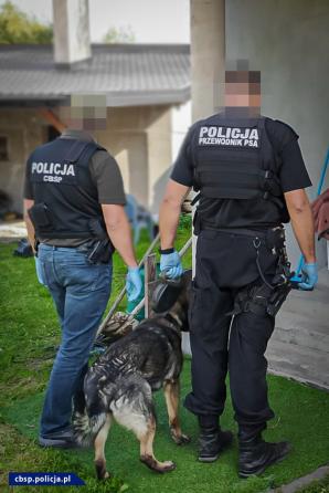 [VIDEO] Podejrzani o sutenerstwo na pomorzu w rękach CBŚP