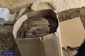 [VIDEO] Rozbita grupa, zlikwidowana fabryka i przejęty towar