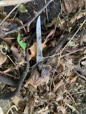 [VIDEO] Poszukiwania Iwony Wieczorek: RUTKOWSKI: odnaleźliśmy granatową spódniczkę, koszulę męską i noże. Czekamy na Policję!