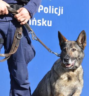 Policyjny pies Luna odszedł na emeryturę