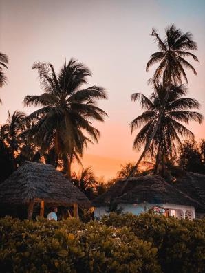 Stracił 3,5 mln zł na interesach z „Wojtkiem z Zanzibaru”. Prosi o pomoc Krzysztofa Rutkowskiego!