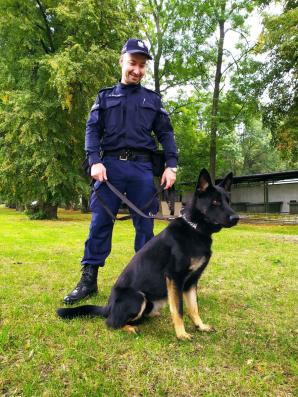 Owczarek Rewers i Owczarek Rudna na szkoleniu w policyjnej psiej szkole