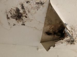 [VIDEO] PATRIOT24 INTERWENIUJE: Dlaczego sąd w Eschweiler zlicytował mieszkania przed zakończeniem procesu o oszustwo?