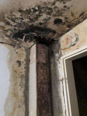 [VIDEO] PATRIOT24 INTERWENIUJE: Dlaczego sąd w Eschweiler zlicytował mieszkania przed zakończeniem procesu o oszustwo?