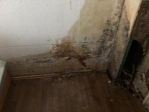 [VIDEO] PATRIOT24 INTERVENIERT: Warum hat das Gericht in Eschweiler die Wohnungen versteigert, bevor der Betrugsprozess abgeschlossen war?