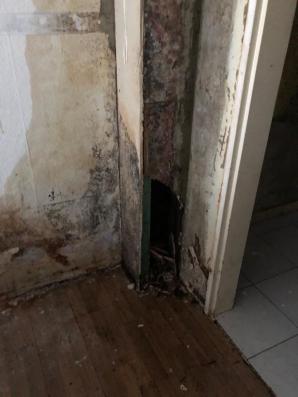 [VIDEO] PATRIOT24 INTERVENIERT: Warum hat das Gericht in Eschweiler die Wohnungen versteigert, bevor der Betrugsprozess abgeschlossen war?