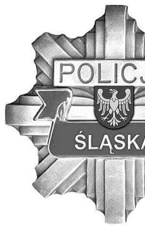 Tragedia na drodze. Zginął policjant, drugi ciężko ranny!