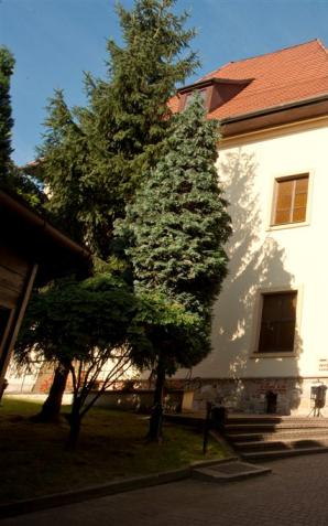 Europejskie Dni Dziedzictwa w Wielickim Muzeum 
