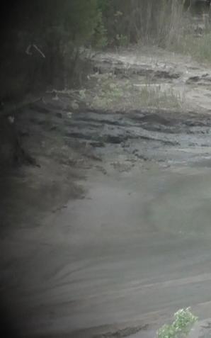 Impreza Off - Road-owa dla dzieci z domu dziecka.
