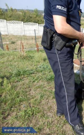 Pies do zadań specjalnych i nadzwyczajnych