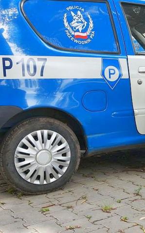 Kasja - pies tropiący odnalazł 32-letnią kobietę