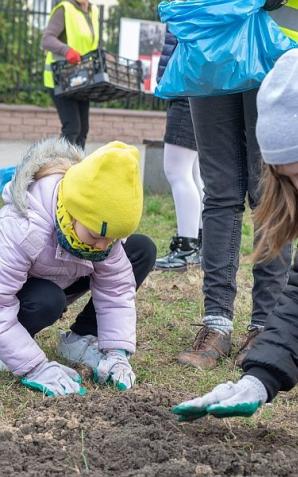 „Pola nadziei” na Bielanach - żonkile przypomną o podopiecznych hospicjów