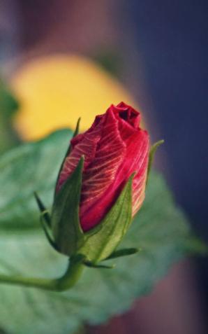 Legnica: Koncerty Przyrody Polskiej- Magia Dzikich Rzek