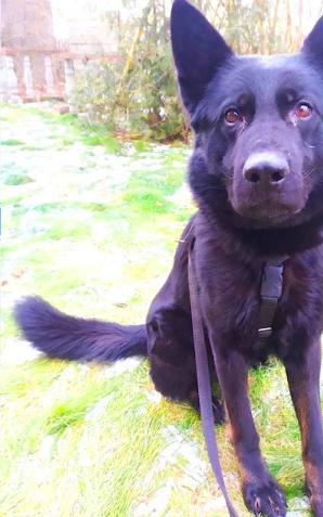 [VIDEO] Włamał się do przychodni i ukradł szczepionki. Po kilku godzinach został zatrzymany i usłyszał zarzut