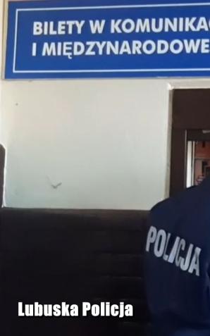 [VIDEO] Policjanci ustalili tożsamość tajemniczego pasażera z pociągu Berlin-Warszawa. To obywatel Łotwy! 