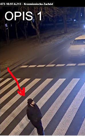 [VIDEO] Policja poszukuje świadków w sprawie zabójstwa!