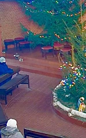 Słowo na 26 grudnia, drugi dzień Świąt Bożego Narodzenia