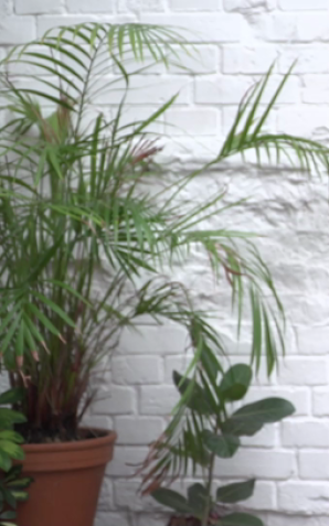 Karolina Malinowska: Zamiast iść na imprezę i prowadzić rozmowy, z których niewiele wynika, wolę wrócić do domu i mieć czas dla siebie