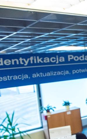 Boom na estoński CIT. Dane nie pozostawiają złudzeń. Widać skok rdr. o prawie 1550 proc.