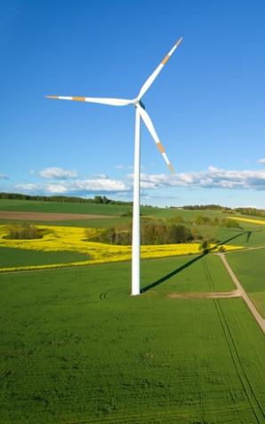 PSEW: PSL referendami dobije wiatraki
