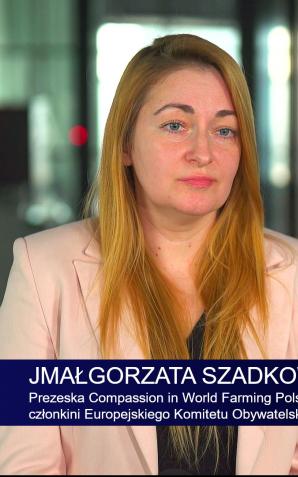 [VIDEO] Polska słabo przygotowana do zakazu hodowli klatkowej. 76 proc. zwierząt jest w ten sposób trzymane