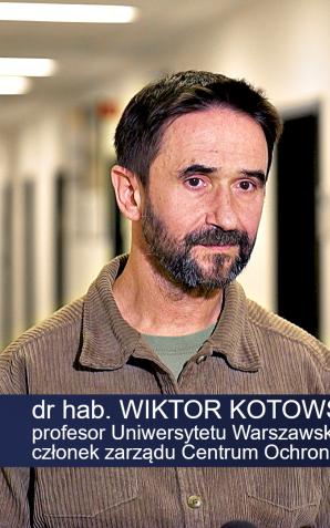 [VIDEO] 85 proc. mokradeł i torfowisk w Polsce jest zdegradowanych. Na wdrożenie czeka strategia odbudowy takich obszarów