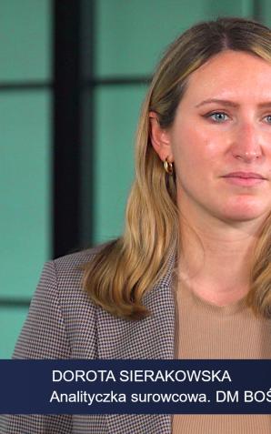 [VIDEO] Kakao podrożało w ekspresowym tempie. Czekolada może się stać towarem luksusowym