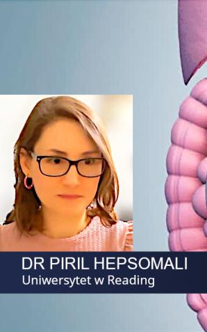 [VIDEO] Zła dieta może powodować obniżenie nastroju i zdolności poznawczych. Naukowcy potwierdzają związek żywienia z neurochemią