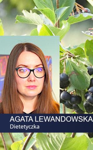 [VIDEO] Przybywa konsumentów aronii. Mimo właściwości prozdrowotnych wciąż jest jednak za mało doceniana
