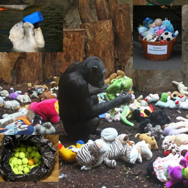 Wtorki „dniem zabawek” w warszawskim zoo