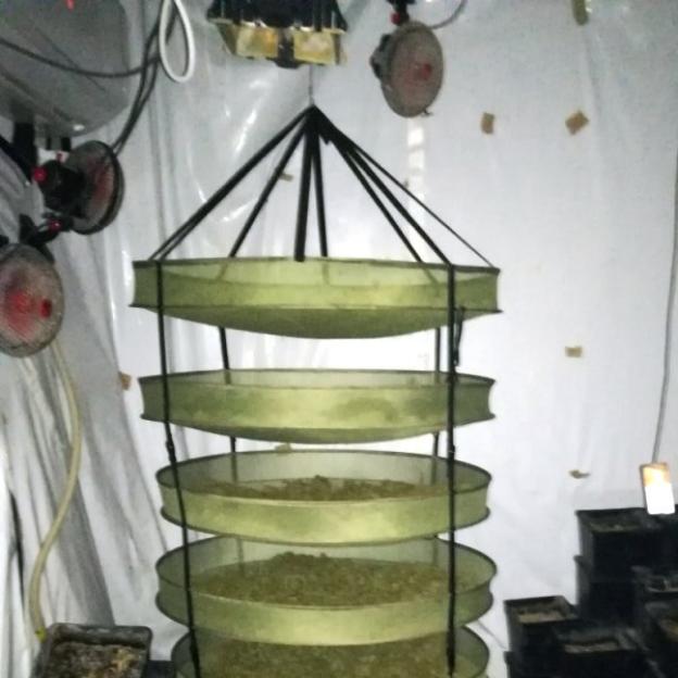 [VIDEO] Polsko-hiszpański cios w przestępczość narkotykową