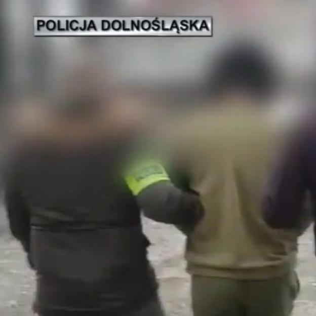 [VIDEO] Policjanci zatrzymali mężczyznę podejrzanego o pozbawienie życia swoich rodziców i 7 - letniego brata