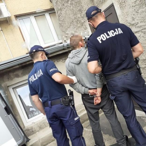 [VIDEO] Policjanci zlikwidowali uprawę konopi indyjskich - tymczasowy areszt dla podejrzanego