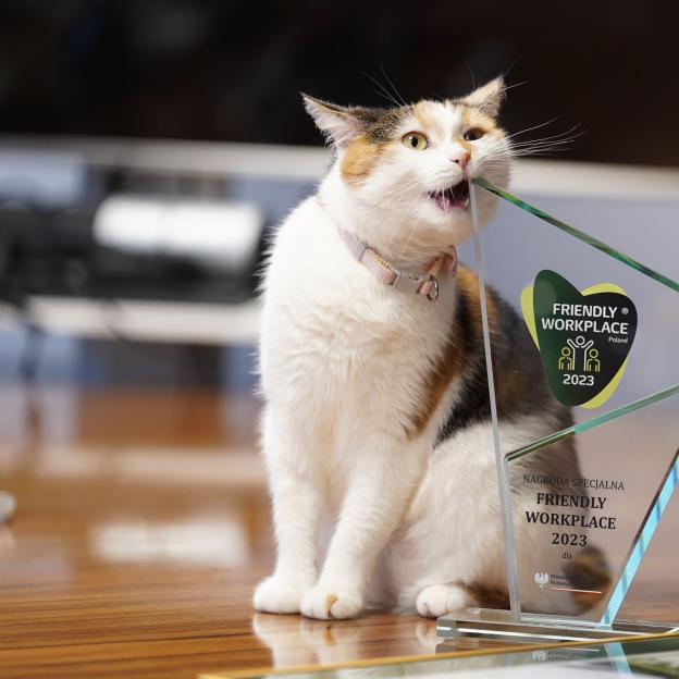 Nagroda Friendly Workplace 2023 dla MRiT
