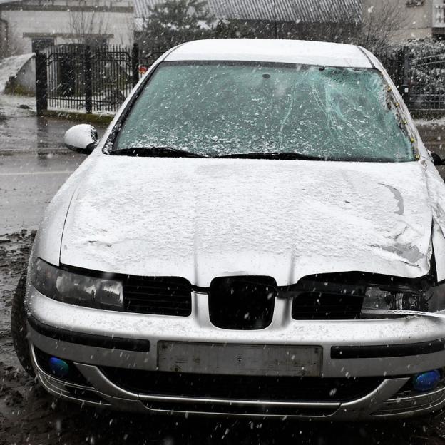 Koń jaki jest, nie każdy widzi