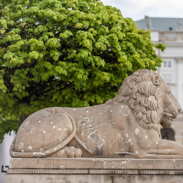 Konserwacja kamiennych rzeźb lwów przed dziedzińcem Pałacu Prezydenckiego