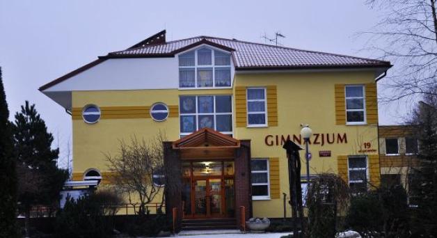 Na bolącą nogę gimnazjalistki kwas mrówkowy. 16-latka po przeszczepie skóry