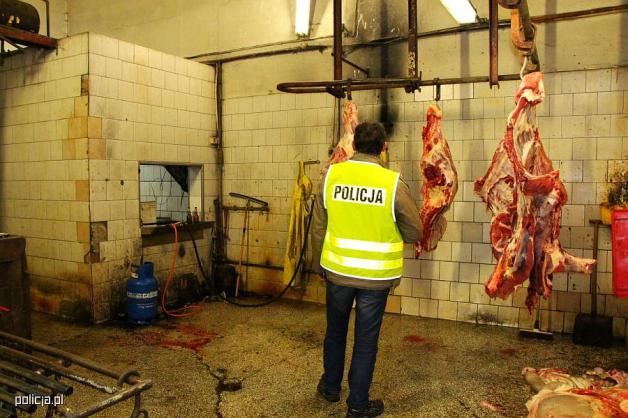 Szok! W takich warunkach prowadzili nielegalną ubojnie zwierząt! 