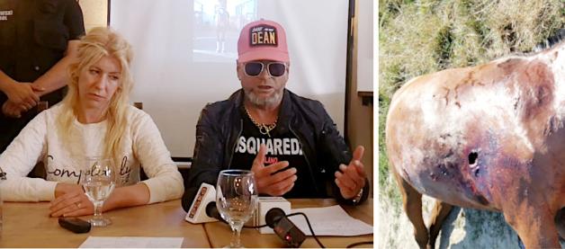 [VIDEO] Rutkowski: 5 000 złotych nagrody dla osoby, która wskaże zabójcę słynnego konia Egista!