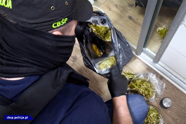 [VIDEO] Międzykontynentalna operacja z udziałem CBŚP i miejscowych służb w Belgii i Niemczech – uderzenie w zorganizowane gangi. Zatrzymano 30 osób: 22 Polaków, 5 Ukraińców, 2 Estończyków i Białorusina