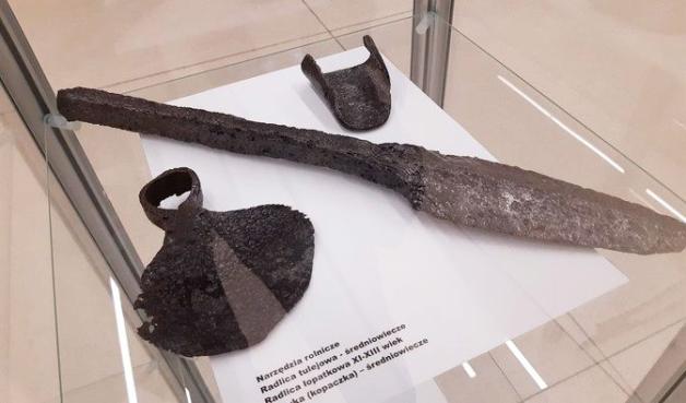 Puszcza Białowieska odkryła skarby! Przedstawiono wyniki inwentaryzacji archeologicznej!