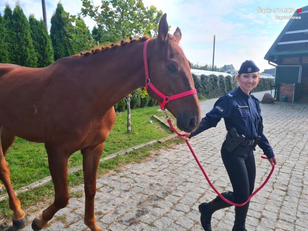 [VIDEO] Konie z Ukrainy na policji